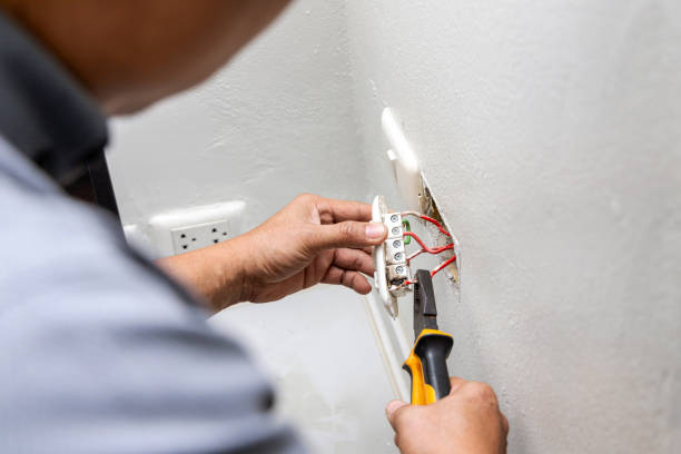 Best Ceiling Fan Installation Electrician  in Paddock Lake, WI